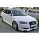 Audi A3 8P 2003-2008 Ön Tampon Eki