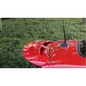 Mini Cooper R56 Spoiler Boyalı