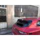 Renault Megane 4 HB Spoiler Boyasız