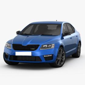 Skoda Octavia 2014-2016 İçin Rs Ön Tampon Panjur