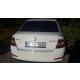 Skoda Octavia 2013-2016 Geniş Anatomik Spoiler Boyalı