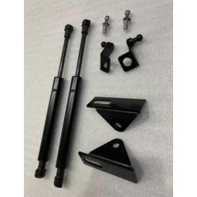 Toyota C-hr 2016-2019 Kaput Amortisörü