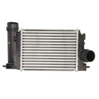 Megane 4-IV Talisman Kadjar Turbo Radyatörü (Intercooler) 144614EA1A-144614EA1B -Mga