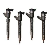 Trafic 3-III Megane 4-IV Talisman Enjektör (Adet) 1.6 Dci R9M 166007246R-166000804R -Renault Mais
