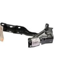 Austral Motor Kaput Menteşesi Sağ 654002269R -Renault Mais