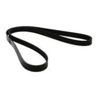R19 Europa Megane 1-I Clio 2-II Direksiyon Kayışı 1.6 8V K7M 7700850113 -Hutchinson