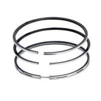 Twingo Motor Segmanı 69.00 mm (0.50) (Adet) 1.2 8V D7F 7701472045-7701469246 -Iss