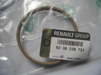 Megane 2-II Gaz Enjeksiyon Kelebek Boğaz Oringi 1.6 16V K4M 8200236731 -Renault Mais