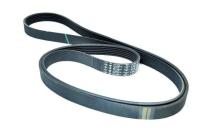 Logan 1-I Alternatör V Kayışı (Klimalı) 1.6 16V K4M (2004-2012) 8200821800 -Renault Mais