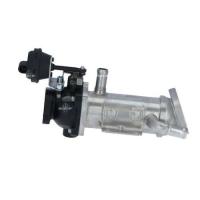Laguna 3-III Latitude Trafic 2-II Egr Vanası 2.0 Dci M9R 8200968414 -Valeo