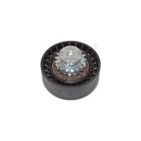 Laguna - Espace 2.0 - F3R - G8T Alternatör Kayış Gergisi 7700860217