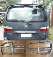 Hyundai Starex Kuş Boyalı