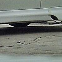 Peugeot 206 Uyumlu Yedek Parça Dimma Tek Kapı Marşpiyel