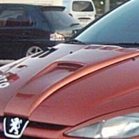 Peugeot 206 Uyumlu Yedek Parça Kaput Havalandırma