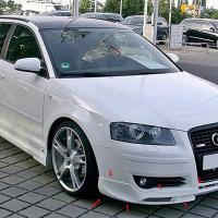 Audi A3 8P 2003-2008 Ön Tampon Eki
