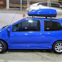Renault Twingo Yan Marşpiyel Boyalı
