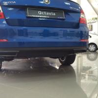 Skoda Octavia 2013-2016 Egsoz Çerçevesi Boyalı