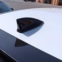 Universal Balık Sırtı Boyasız